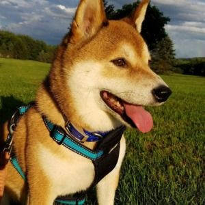 Meet your Posher, Kaitlin